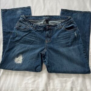 Lane Bryant Distressed Straight Leg Jeans